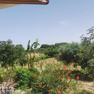 Vacanze Baglio Sances , Birgi Vecchi Italia